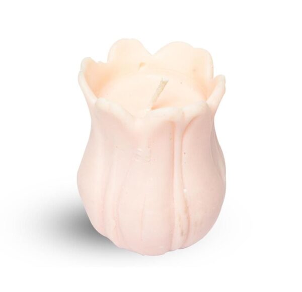 Tulip Flower Candle